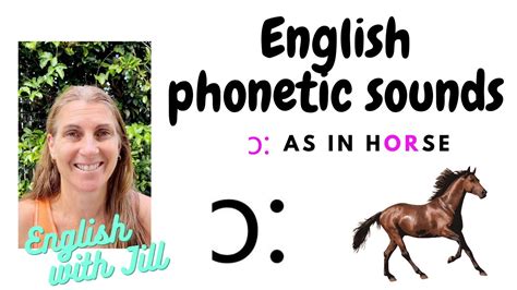 horse phonetic transcription|How to pronounce EQUINE in English .